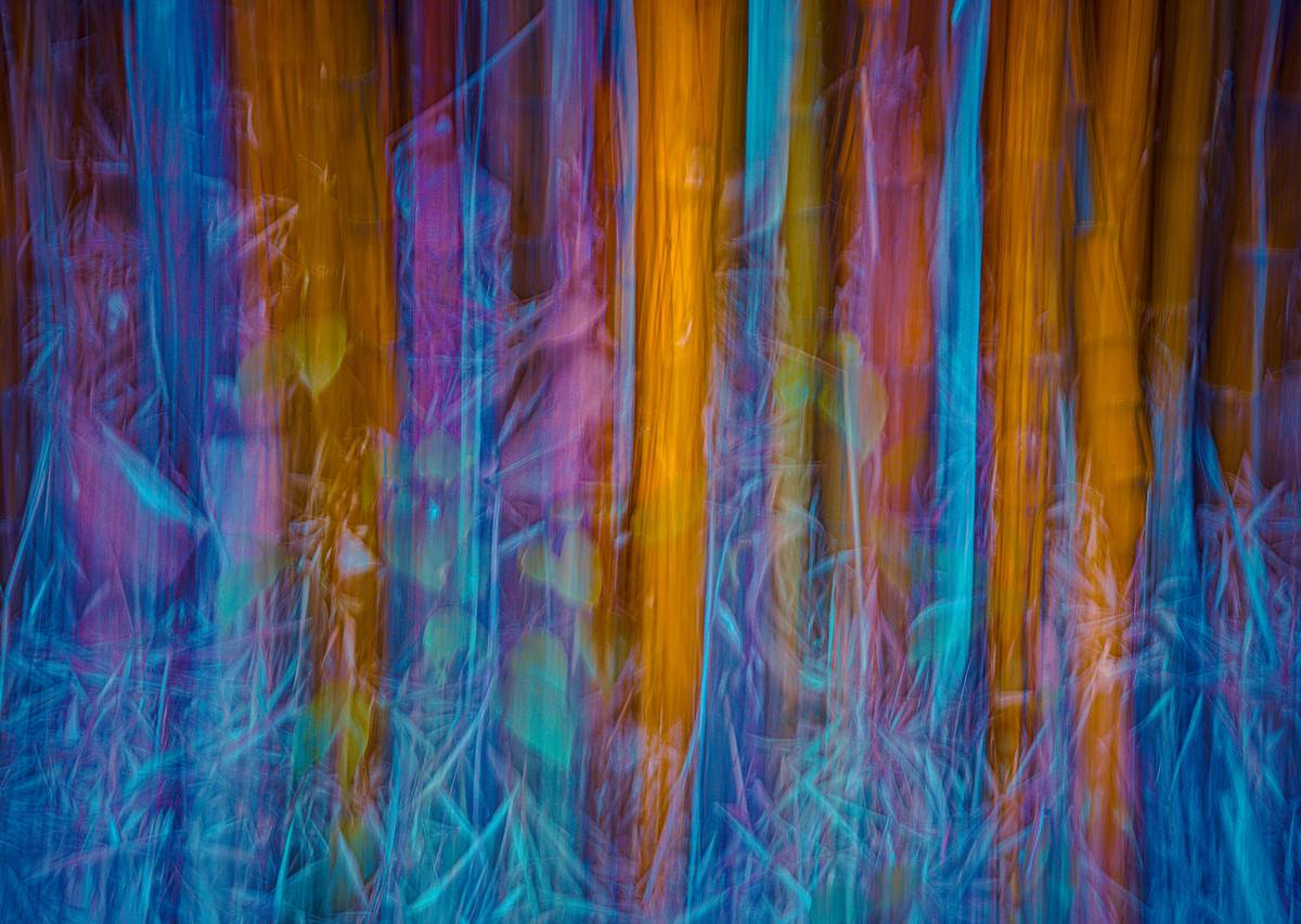 The ‘ICM’ technique.