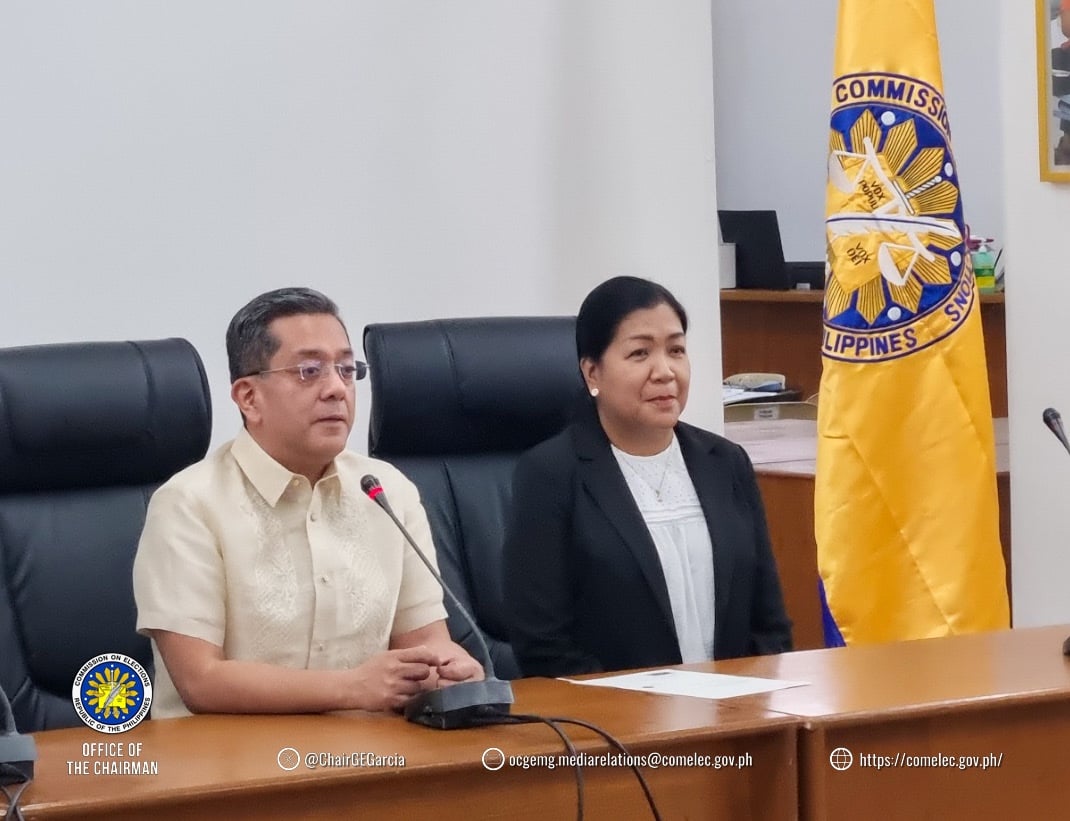 Comelec names law department chief as new commissioner