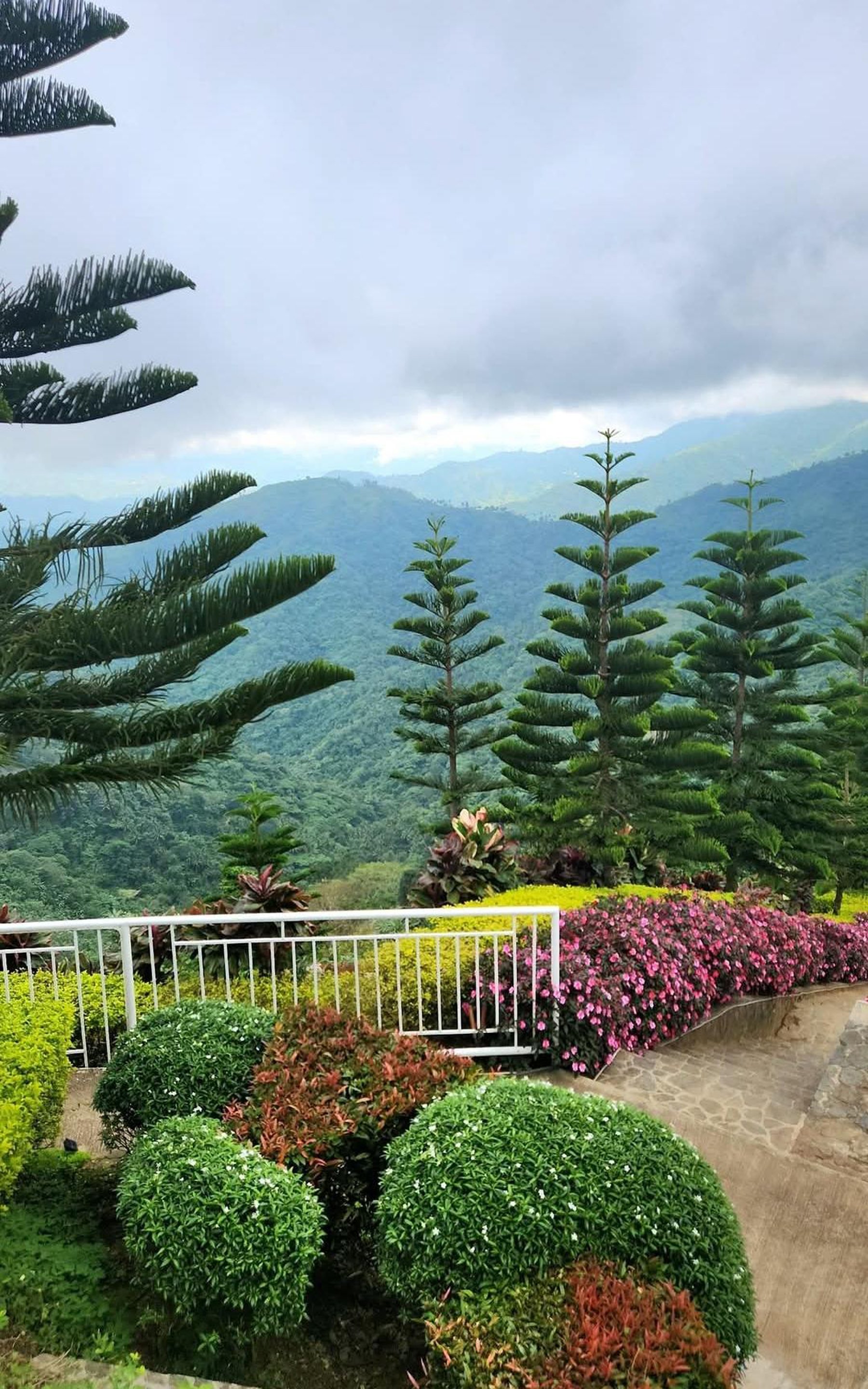 Serenity in every bloom.