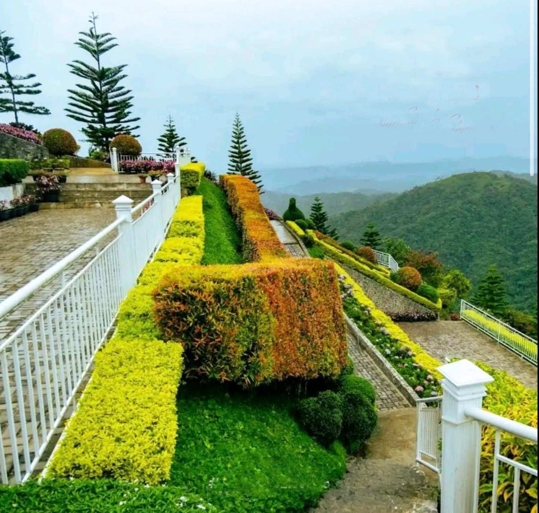 A patch of paradise.