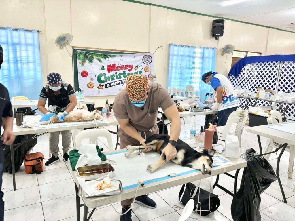 Meralco, in collaboration with the Pateros LGU and animal welfare groups, successfully spayed and neutered over 120 dogs and cats through the ‘Spay It Forward’ campaign.