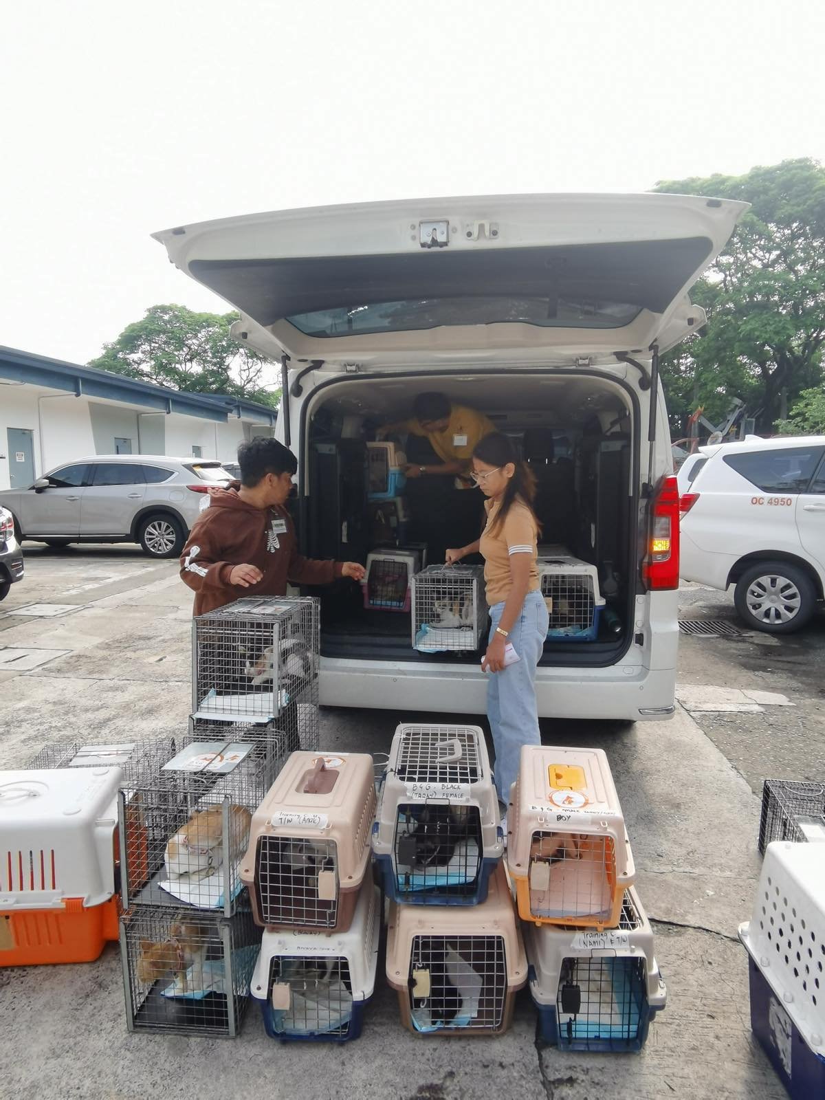 Meralco’s first TNVR, in partnership with Biyaya Animal Care, for a safer and healthier feline community.