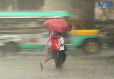 Climate change factor in rising dengue cases — expert