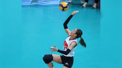ROSY FUTURE: HD Spikers shut down Chargers, secure 3rd spot