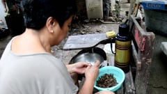 Kamaru or Ararawan on the menu: a taste of traditional Filipino delicacy