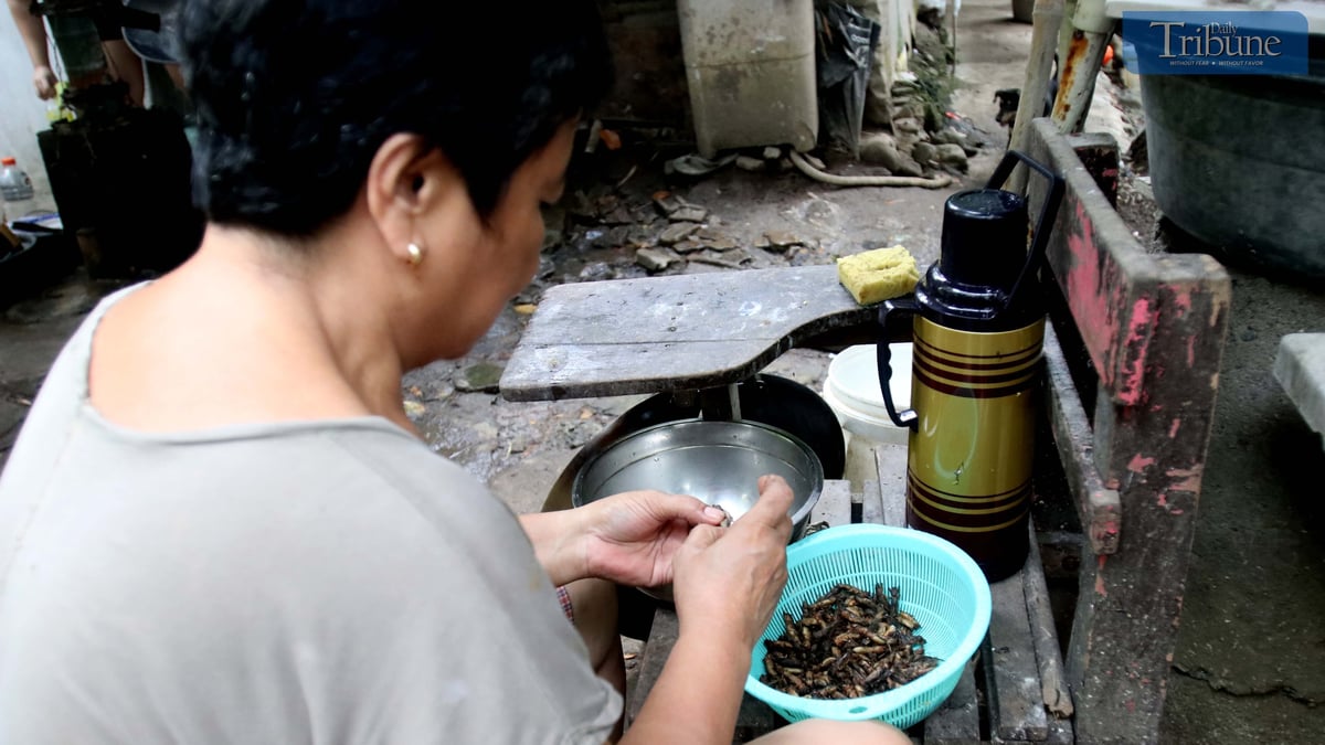 Kamaru or Ararawan on the menu: a taste of traditional Filipino delicacy