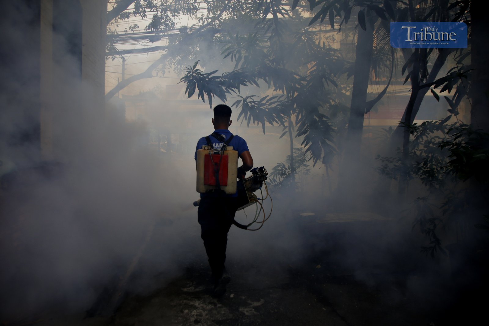 Manila City's Disaster Risk Reduction Office conducts fogging operations in Barangay 390 on 20 February 2025 as dengue cases rise, with Quezon City declaring an outbreak.