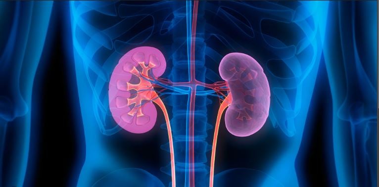 CKD cases rise; dialysis patients seen hitting 150K by 2030