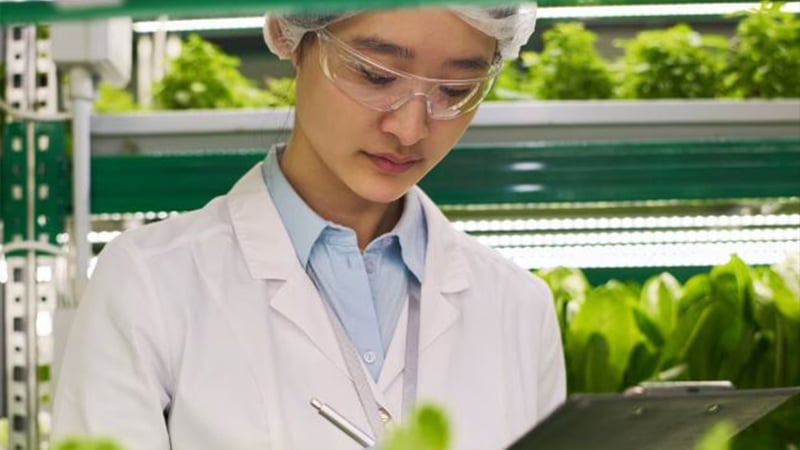 STEM scholarships for women