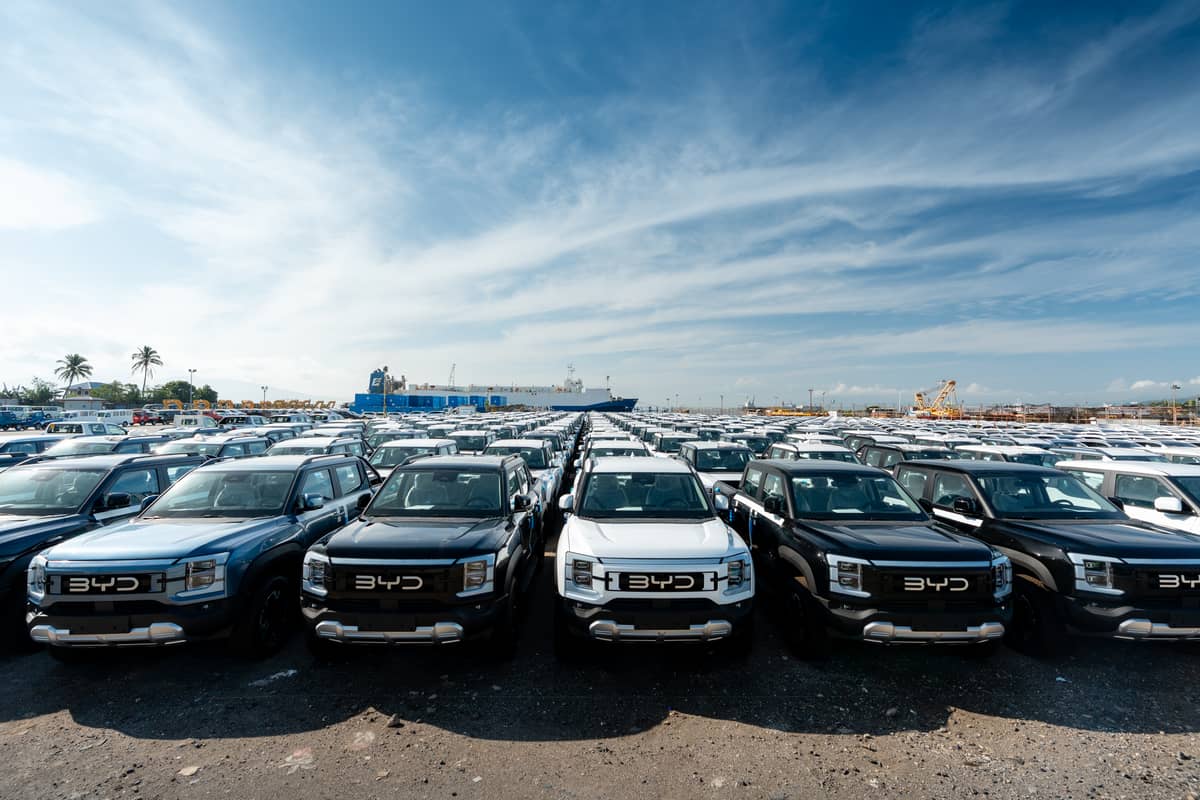 A fleet of BYD Shark 6 DMO pickups ready to take on the roads.