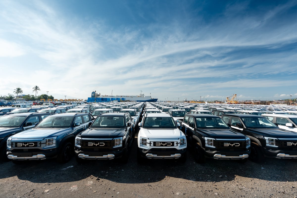 A fleet of BYD Shark 6 DMO pickups ready to take on the roads.