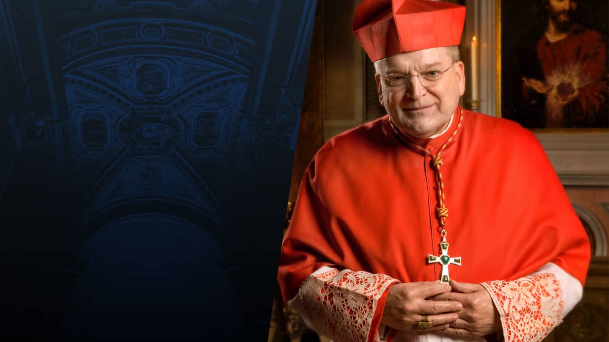 cardinalburke.com