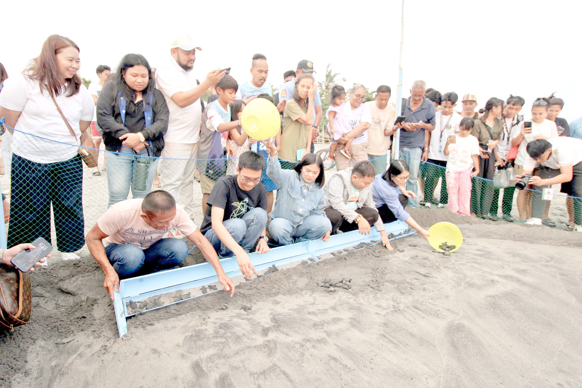 Aboitiz Power subsidiary backs Bataan pawikan hatchery