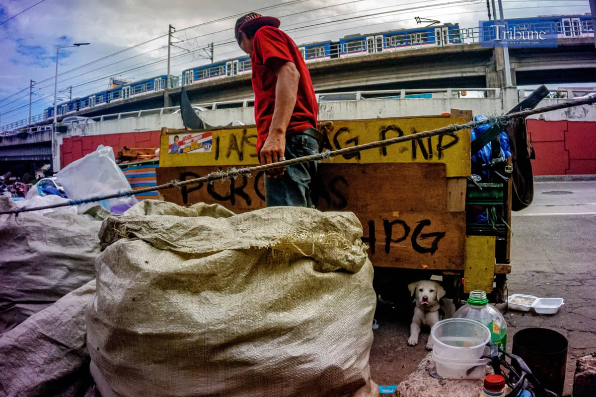 Whitey waits for Kuya Rolando while he collects bottles to be sold later.