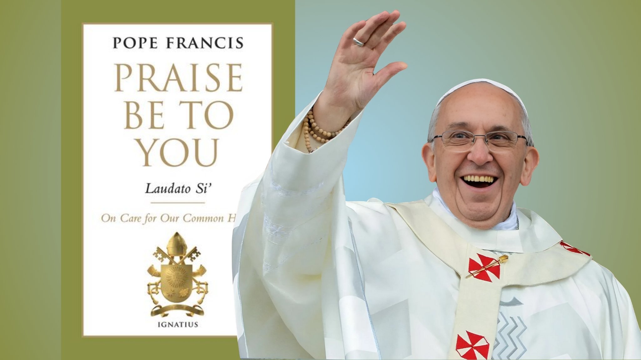 Laudato Si': A cry for our common home