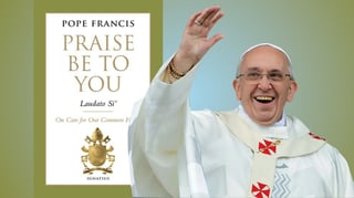Laudato Si': A cry for our common home