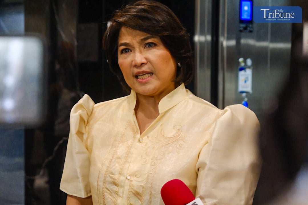 It’s an idiom: Castro defends PBBM’s ‘suka’ remark