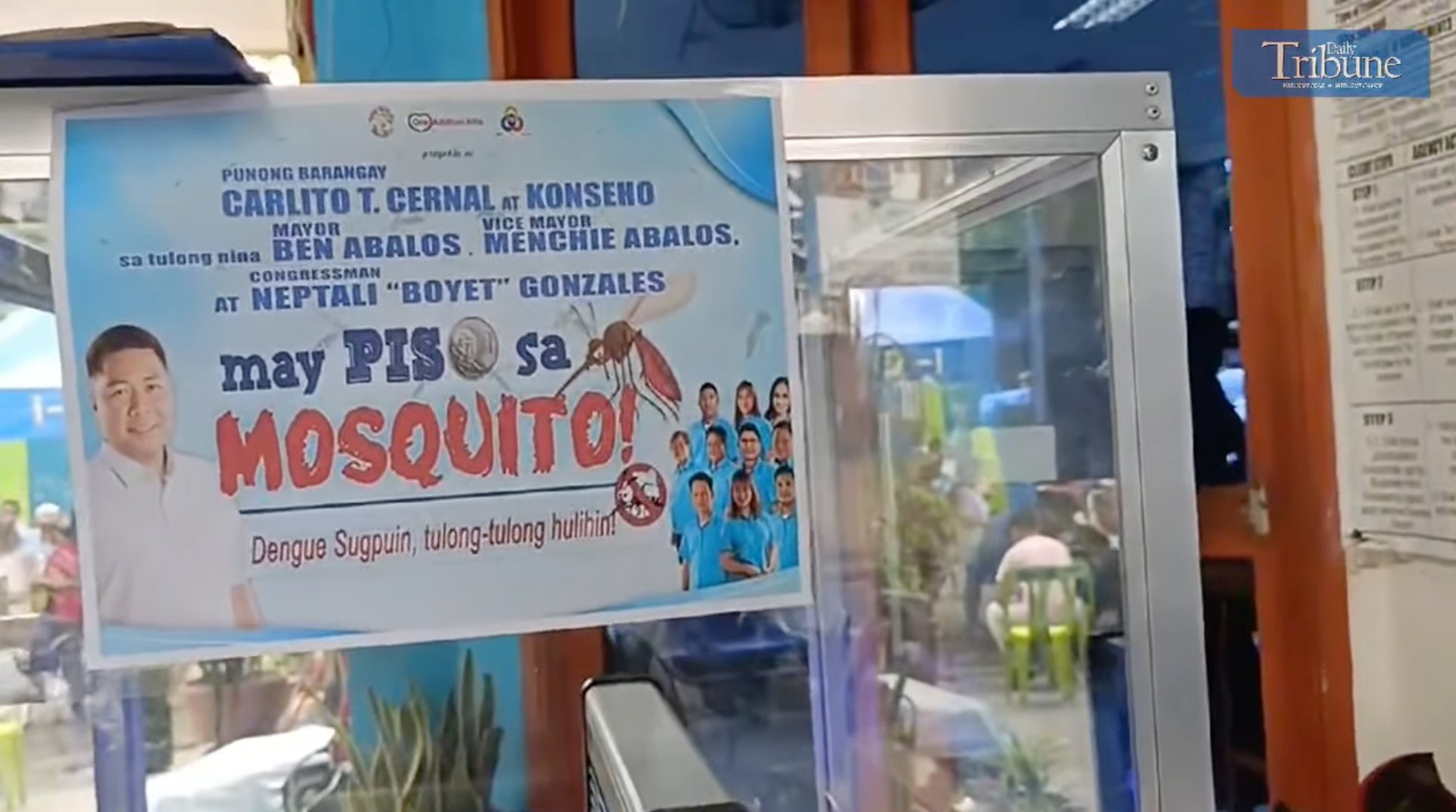 DOH: 'May Piso sa Mosquito' program not effective vs. dengue