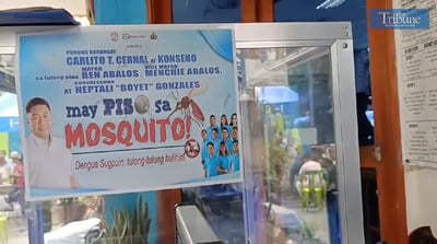 DOH: 'May Piso sa Mosquito' program not effective vs. dengue