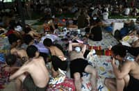 Thousands of freed scam centre workers in Myanmar are desperate to get home