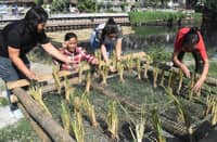 Ex-Army nurse launches grassroots health program
