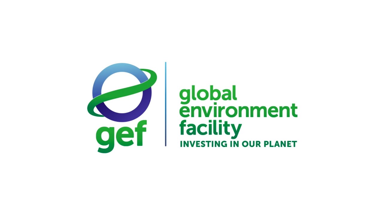 Global Environment Facility (GEF)