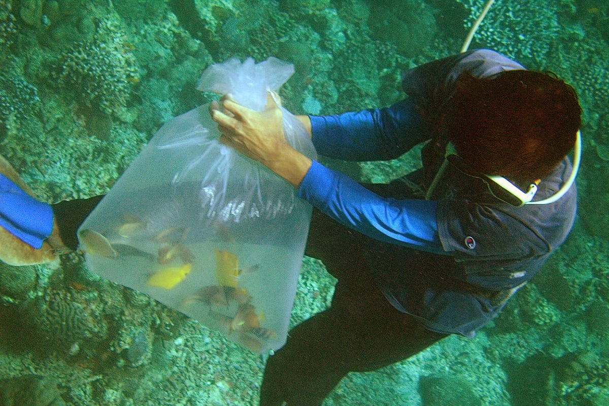 Russian scuba divers meet tragic end