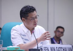 Gatchalian seeks to scrap lump sums in NIA budget for project transparency