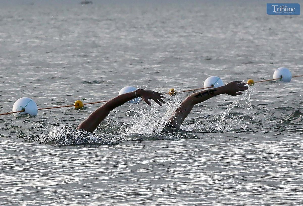 Analy Labor
