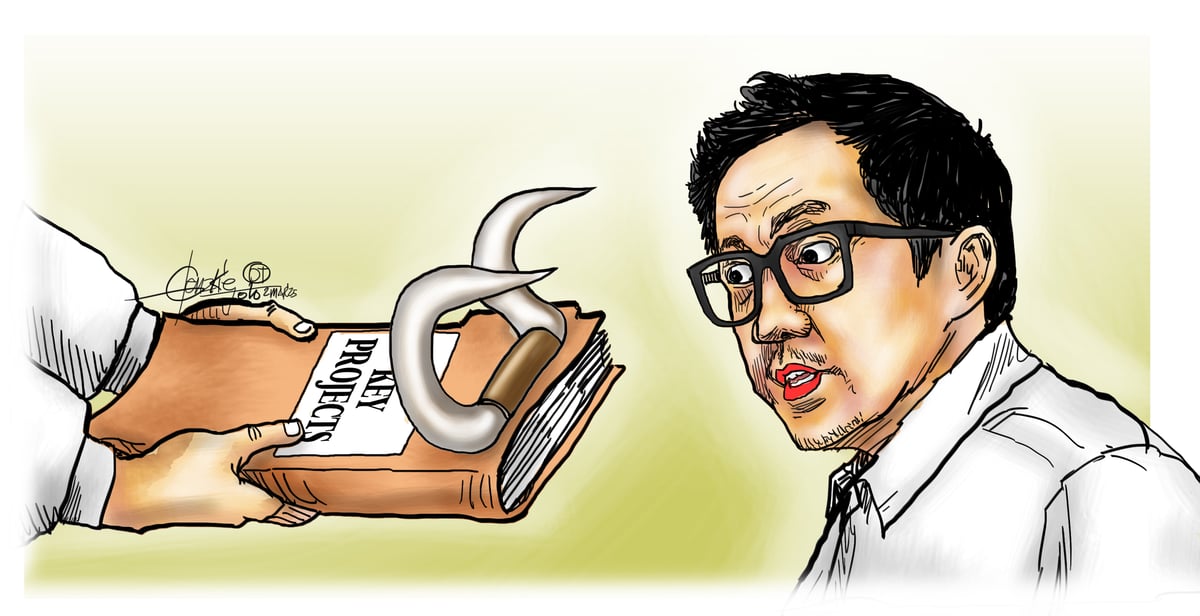 Take bull by the horn