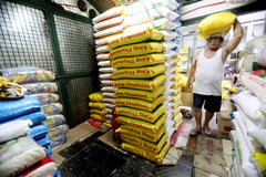 House panel pushes for cheaper grains