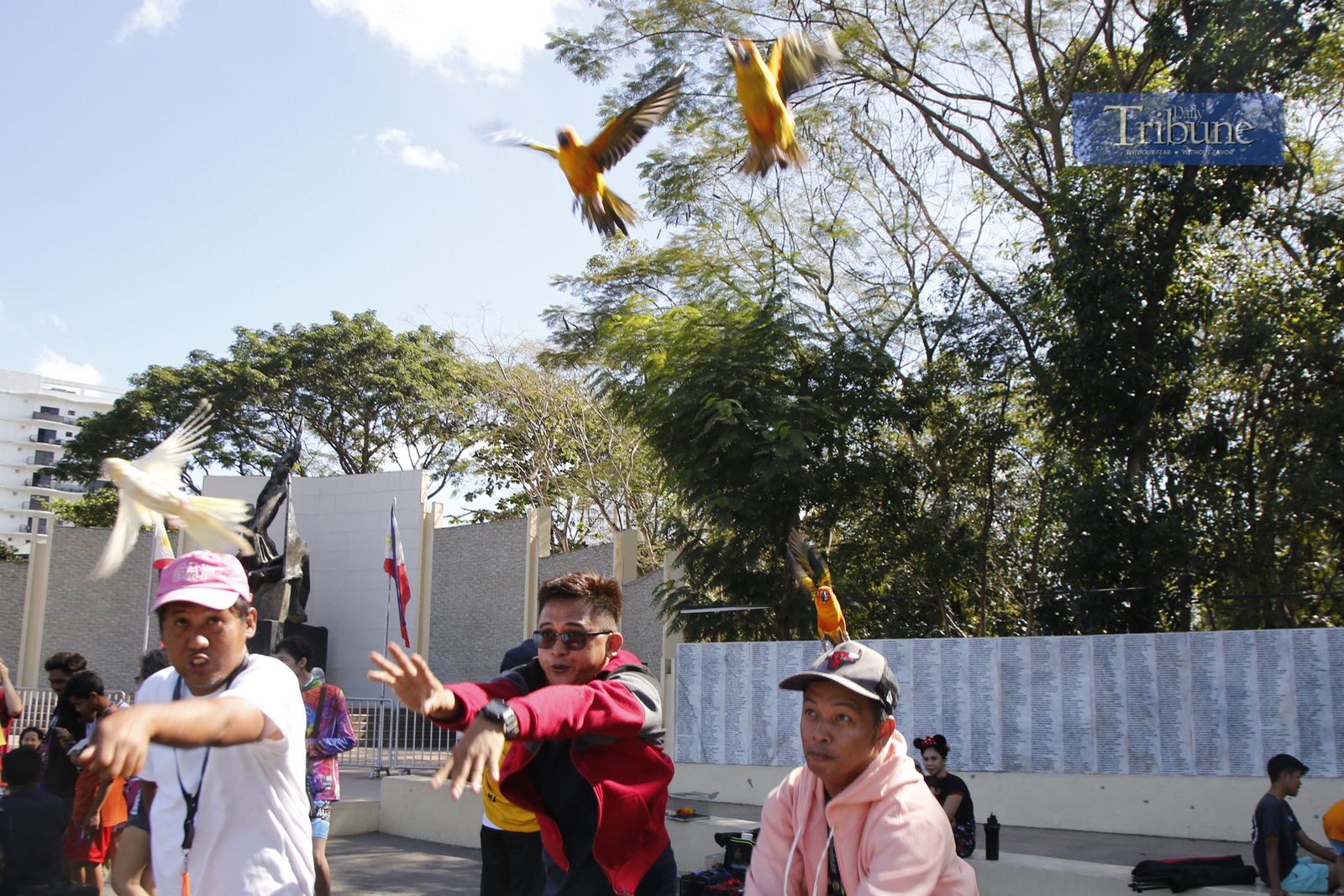 Bird keepers gather at the Pinaglabanan Memorial Shrine in San Juan City on Sunday, 2 March 2025, to train their colorful pets, including parrots, pigeons, and cockatiels. The trees around the shrine have become a perfect resting spot for these feathered friends.