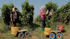 China says to impose fresh tariffs on U.S. agricultural imports