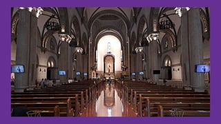 From ashes to Easter: a journey of renewal and reflection