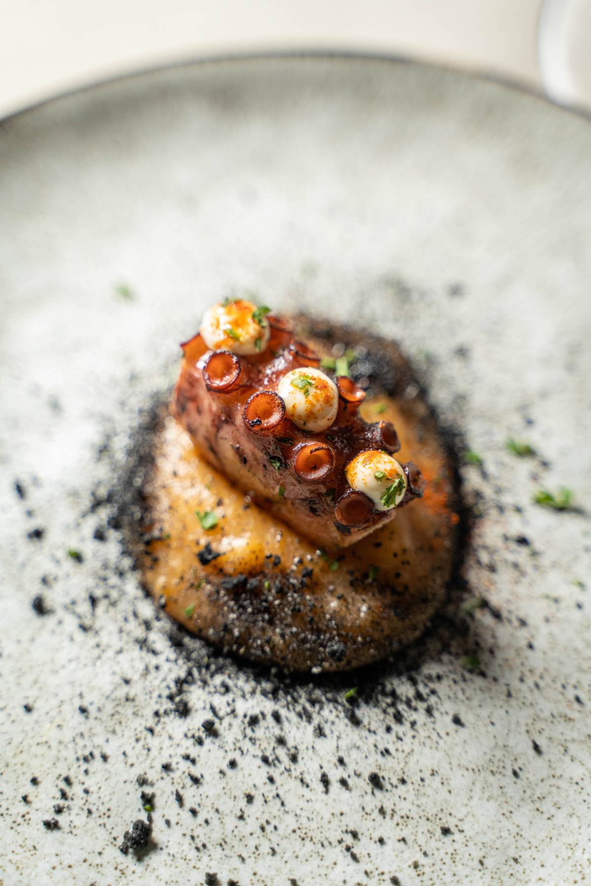 Charred Pulpo
