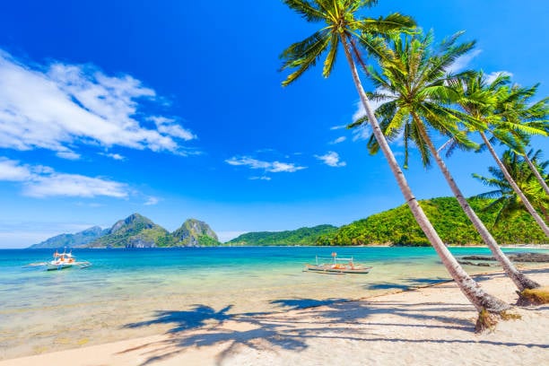January 2025 tourism profit surpasses pre-Covid income levels — DoT
