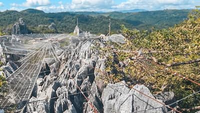 DENR cancels 2002 deal with Blue Star