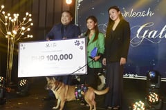 Revolutionized pet care unleashed
