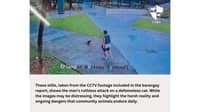 Justice for Ken: outrage as community cat dies after brutal attack