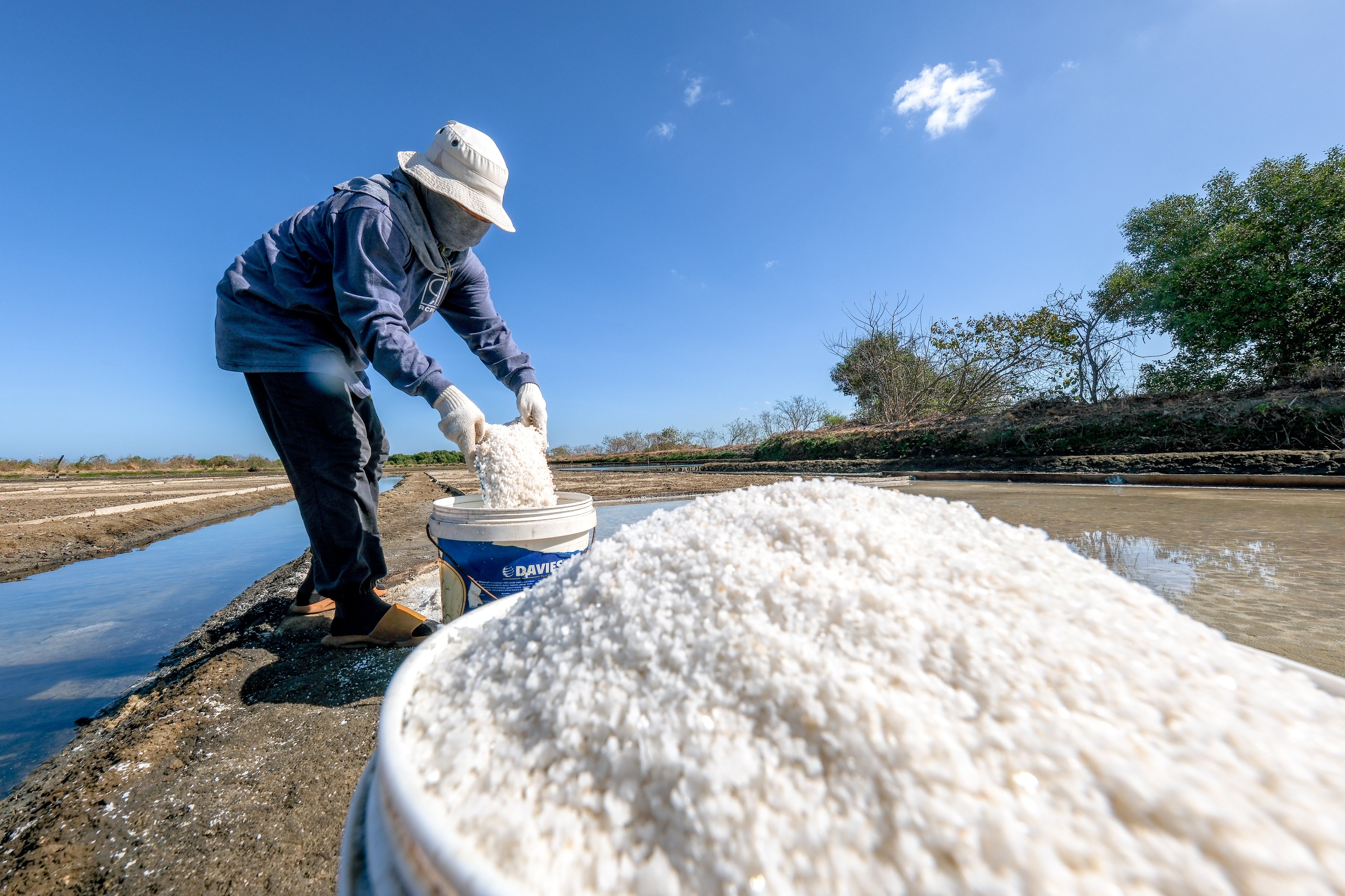 Salt enterprise gets P1-M grant from DoLE