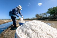 Salt enterprise gets P1-M grant from DoLE