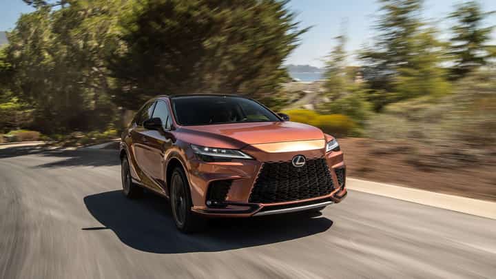 LEXUS RX cruising smoothly under the warm summer sun.