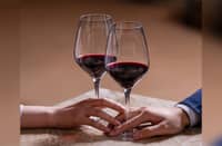 Banfi Wine Dinner at Finestra Solaire North.