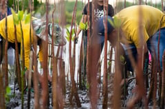 Pangasinan vows fight vs climate change