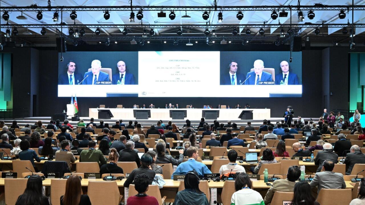 Rich nations agreed at the UN COP29 summit in November 2024 to provide $300 billion a year in climate finance for poorer countries by 2035