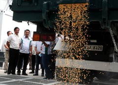 Grain terminal inaugurated in Batangas to boost corn yield, lower feed costs
