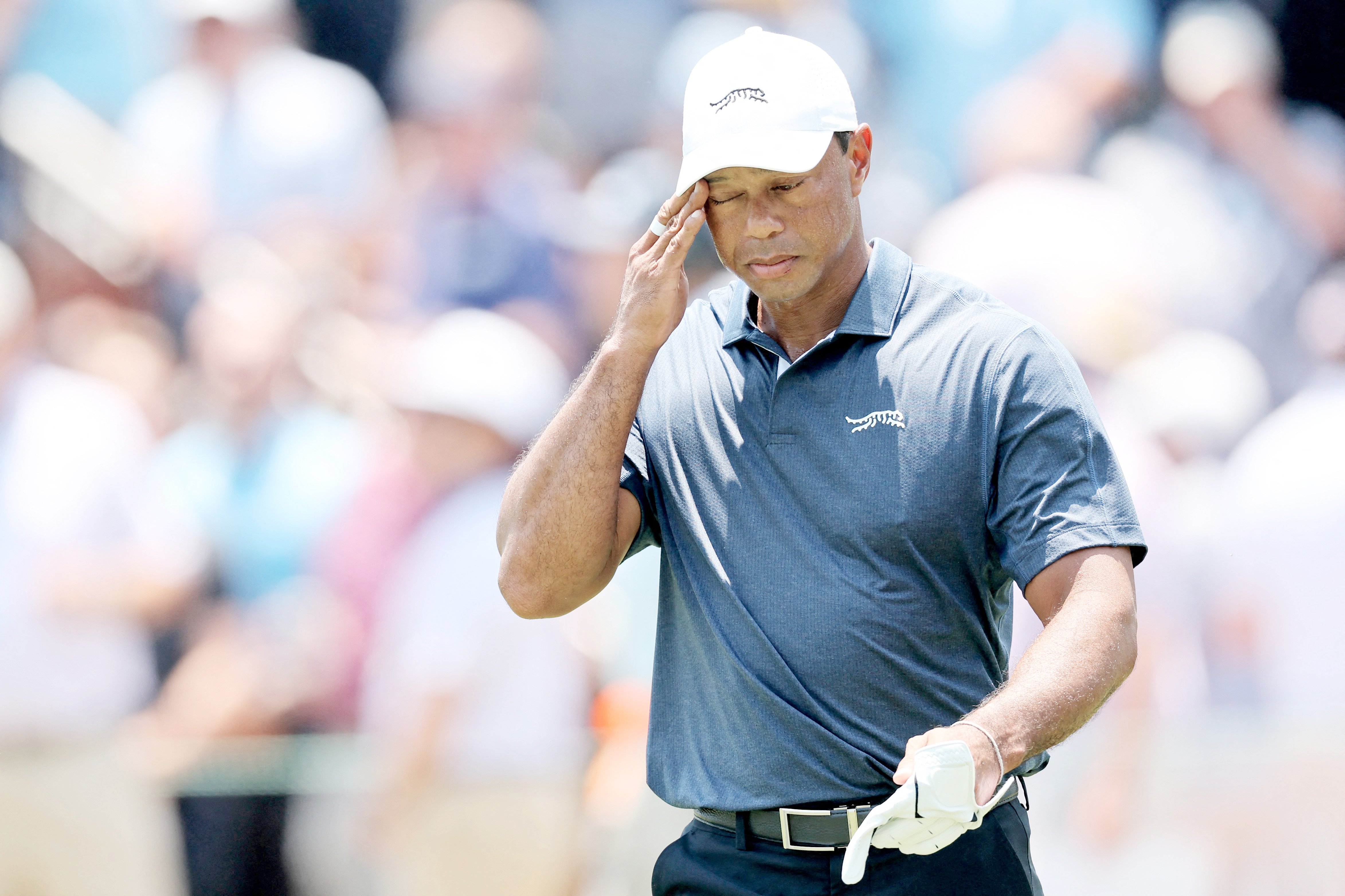 Tiger Woods involved in Florida car crash: reports