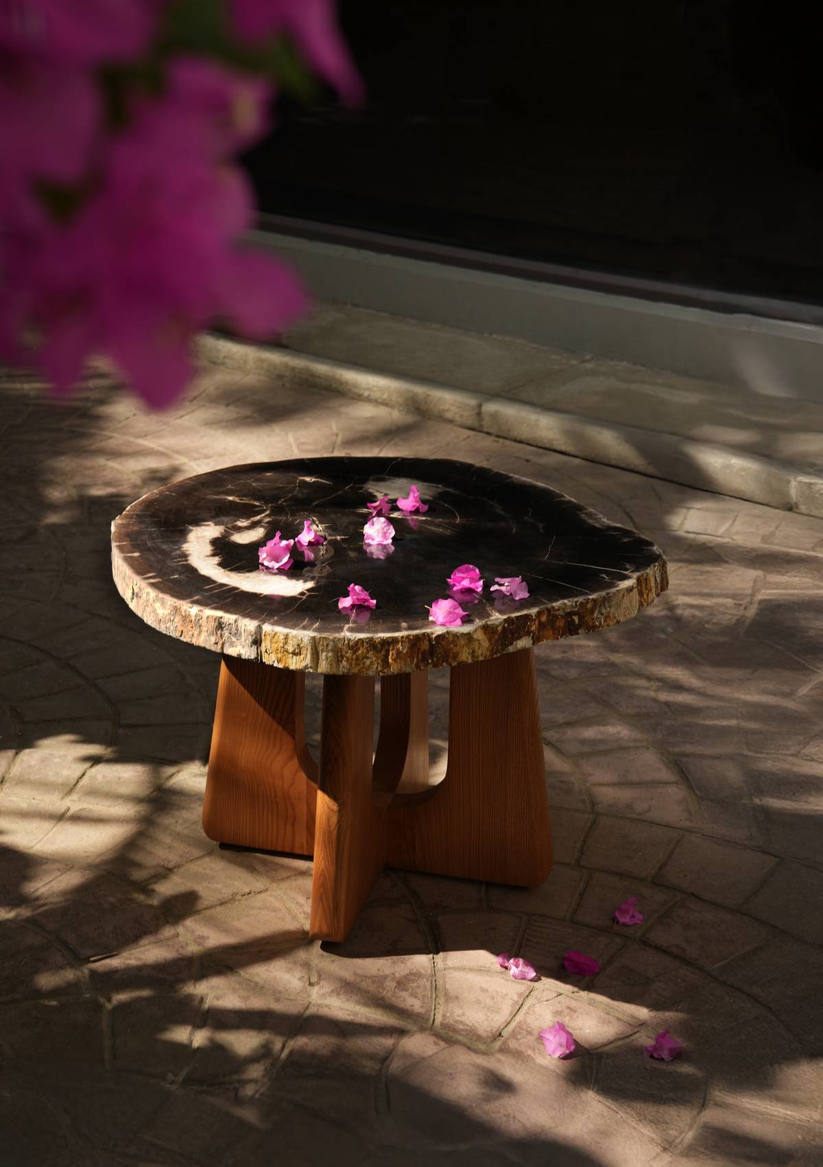 Petrified Coffee Table.