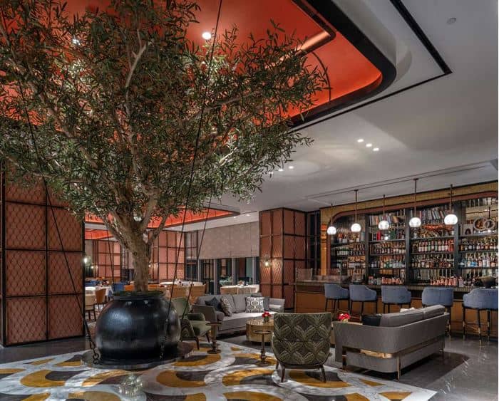 An olive tree is a highlight within the stylish interiors of Finestra.