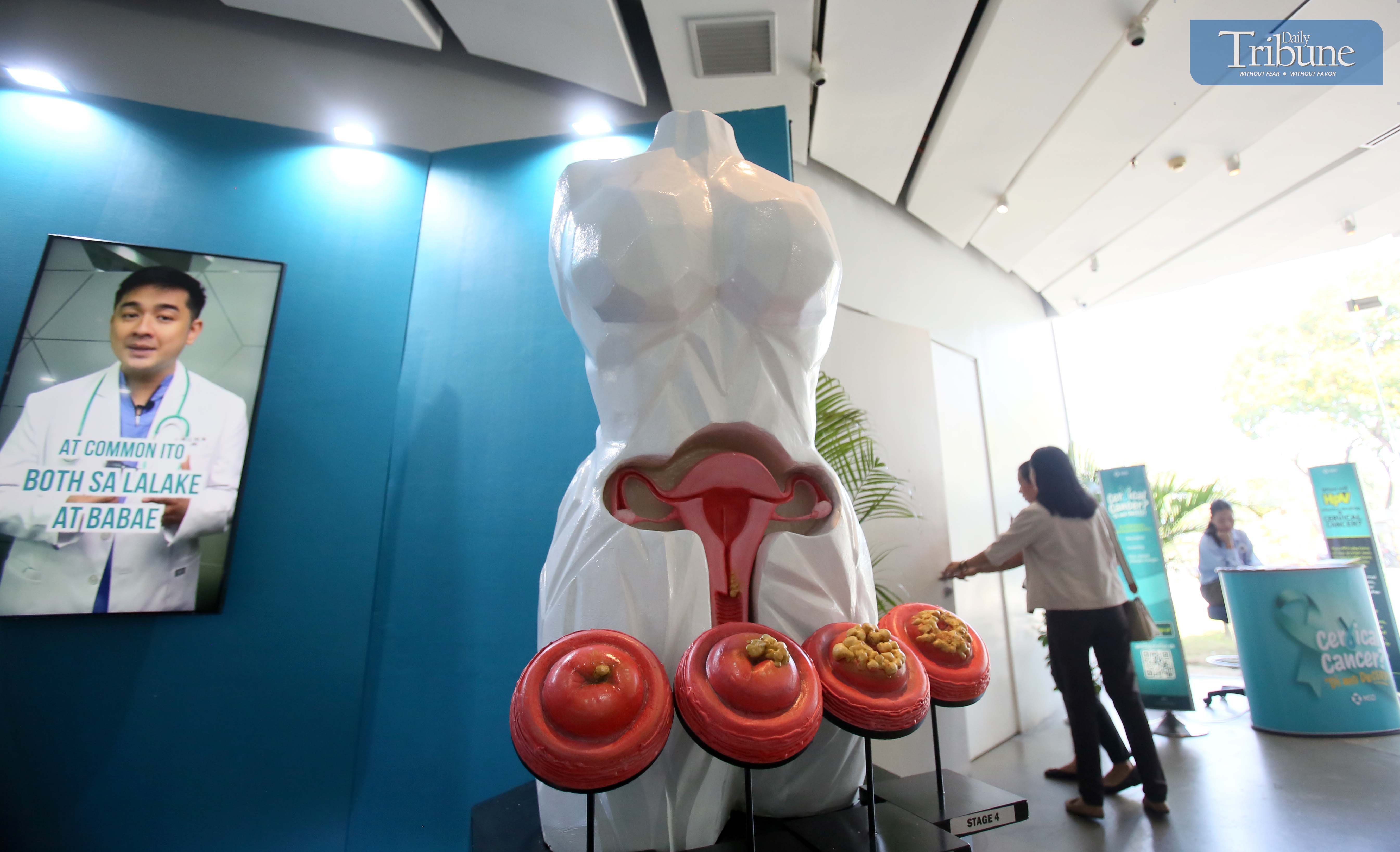 Drive to eliminate cervical cancer gains push